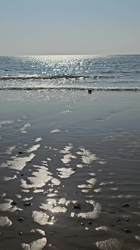 Low Angle Sunlight Sparkling on Calm Ocean Shoreline, 4K Vídeos de archivo 330035515