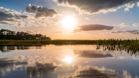 Low Angle Sunset Time Lapse of a Lake at Ocala National Forest Video stock 90438320