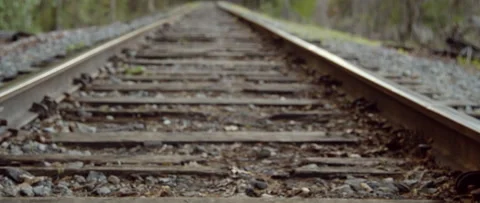 Low Angle Tilt Up of Railroad Tracks Going Into Forrest Stock Footage 133018460