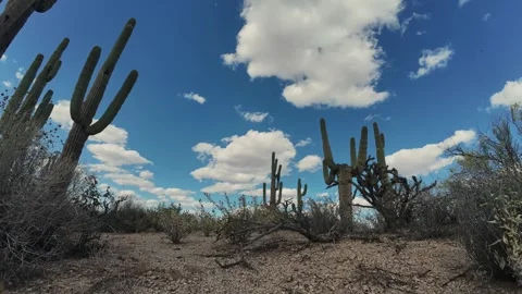 Low Angle Time Lapse Of Arizona Sonoran Desert With Cactus And Clouds Vídeos de archivo 332017579