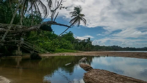 Low Angle Time Lapse of Clouds by a Beach In Panama Stock Footage 95754554