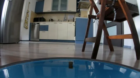 Low angle time lapse of a robot vacuum cleaner Stock Footage 104584823