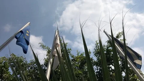 Low Angle Time Lapse Shot of Flags Waving  Stock Footage 83075435
