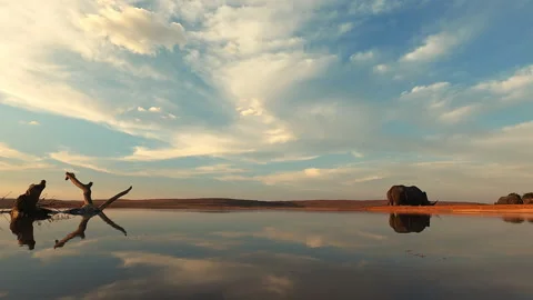 Low angle timelapse rhinos feeding at sunset waterhole with reflection 스톡 동영상 333202547