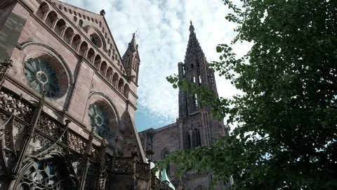 Low Angle Track Left View Trees Spire Strasbourg Cathedral of Our Lady Stock Footage 93929824