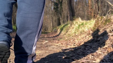 Low angle tracking of man walking in forest slow motion Stock Footage 279846454