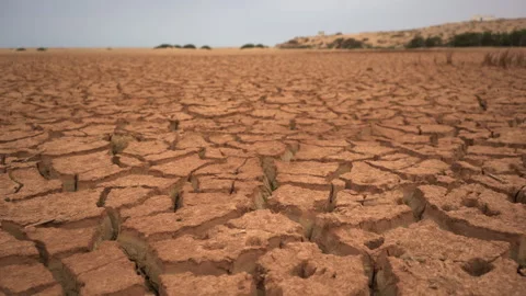 Low Angle Tracking Shot of Cracked Earth in Climate Crisis Drought Stock Footage 334721869
