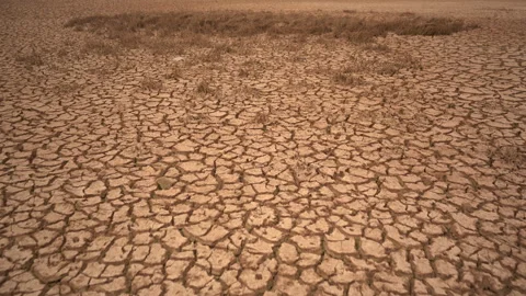 Low Angle Tracking Shot of Dead Crops and Cracked Earth in Climate Crisis Vídeos de archivo 334727256
