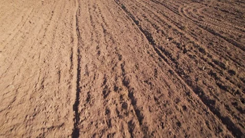 A low angle tracking shot over a plowed field The Concept of Agriculture 스톡 동영상 318443560