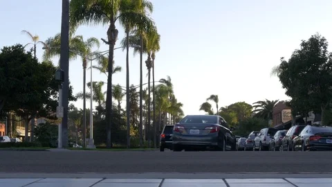 Low Angle Tracking Shot With Palm Trees Down Boulevard in Coronado Island Stock Footage 77692604