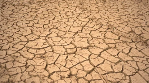 Low Angle Tracking Shot of Severely Cracked Earth in Climate Crisis Drought Vídeos de archivo 334699285
