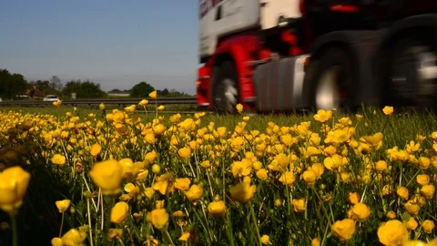 Low angle traffic passing buttercups on the A64 leeds uk Stock Footage 108426758