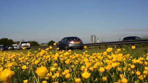 Low angle traffic passing buttercups on the A64 leeds uk Stock Footage 108426772