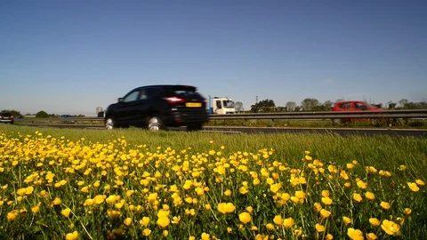 Low angle traffic passing buttercups on the A64 leeds united kingdom Stock Footage 108427058