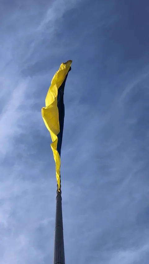 Low angle Ukrainian flag fluttering vertical video Stock Footage 345581838