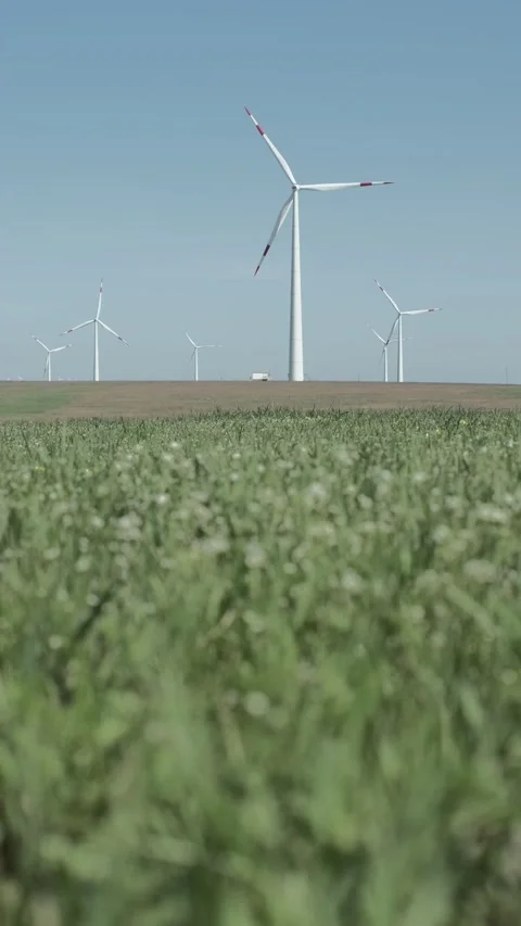 Low angle vertical full shot of windmill field Stock Footage 238009709