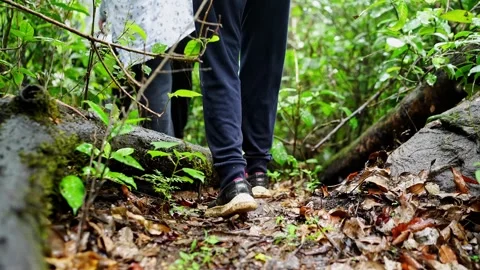 A low angle video of adventurers boots hiking through green bushes in wetla.. Video stock 332355228
