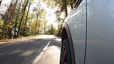Low angle video of a car driving on a asphalt road along fall forest Stock Footage 118544391