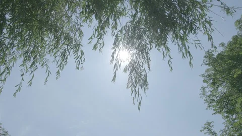 The low-angle video shootage of the man on the bicycle. Video stock 99438895