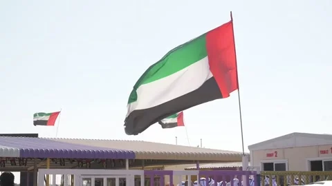 Low angle video of the UAE flag against the sky Stock Footage 248042423