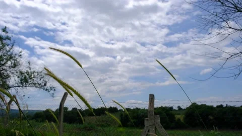 Low angle view abandoned and brownfield area. Video stock 204077809