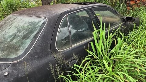 Low angle view of abandoned car covered by vegetation decay concept 4K 스톡 동영상 331020169