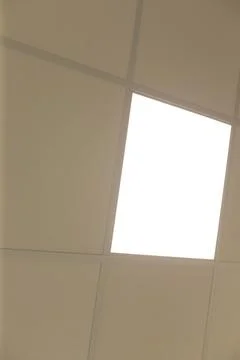 Low angle view of acoustic ceiling grid with illuminated panel and metal frame Stock Photos