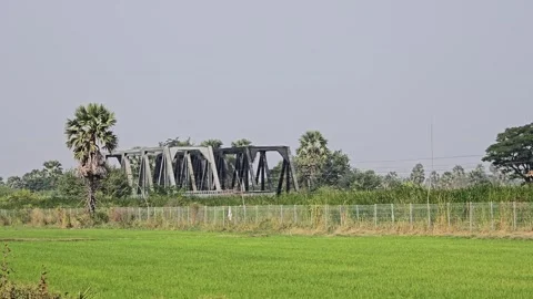 Low Angle View Across Lush Rice Field Toward Iron Railway Bridge in Cha-Am 스톡 동영상 331085299