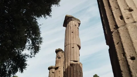 Low-angle view of ancient Pompeii columns framed by dark tree canopy, capturing Stockbeeldmateriaal 335915916