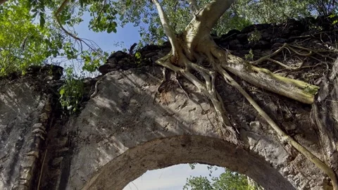 Low Angle View Of Ancient Stone Archway With Exposed Tree Roots In Mexico Stock-Footage 348705011