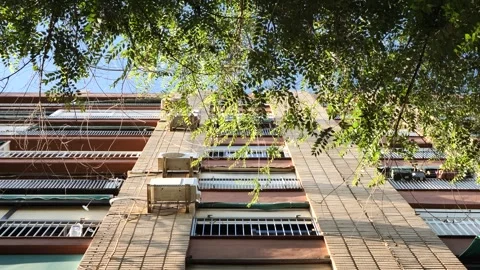 Low-angle view apartment building framed by lush green leaves in summer Stock Footage 321891779
