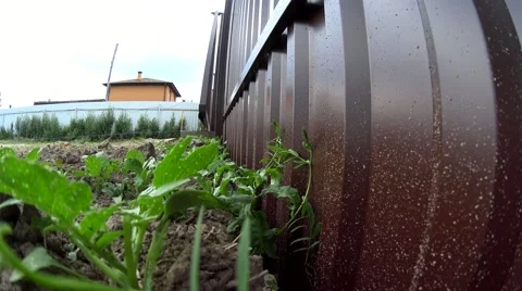 Low angle view automatic door opening, iron gates mechanism Stock Footage 64918183