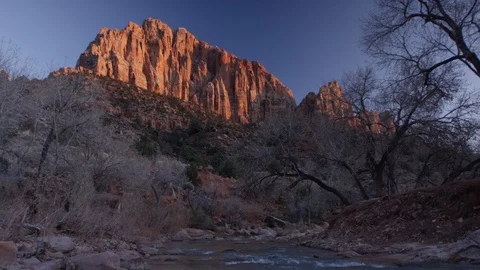 Low angle view of bare trees and Zion National Park Video stock 104110718