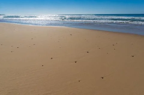 Low angle view of beach sand with pebbles and mild waves Stock Photos