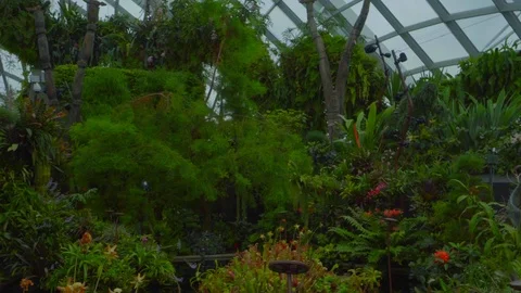 Low angle view of beautiful Gardens by the Bay  Cloud Forest dome Video stock 116554017