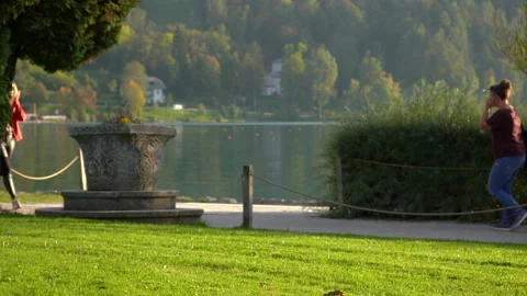 Low angle view of beautiful lake Bled, Slovenia Stock Footage 219942783