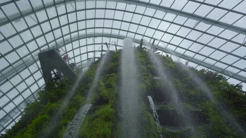 Low angle view of beautiful waterfall in Cloud Forest dome Stock Footage 116554060