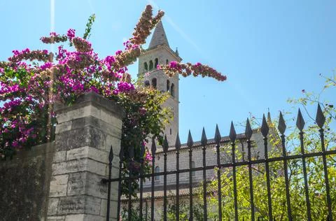 Low Angle View of a Bell Tower on a Church Located in a Blooming Garden in Pula Stock Photos