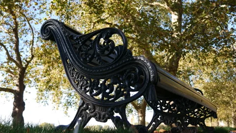 Low angle view of a bench in autumn park. Stock Footage 97219757