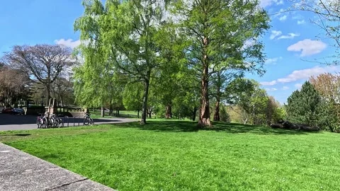 Low-angle view of a bicycle rack in Lister Park, Bradford Stock Footage 333793950