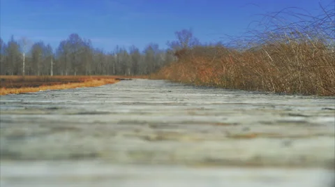 Low angle view of boardwalk on a clear day Stock Footage 57242733