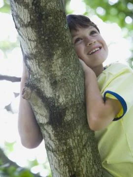 Low angle view of a boy lying on the branch of a tree Fotos de archivo