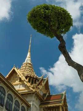 Low angle view of a building with gold spire and tree; Bangkok, Thailand Stock Photos