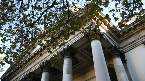 A low angle view of the building top with yellow leaves on the foreground. Stock Footage 97221630