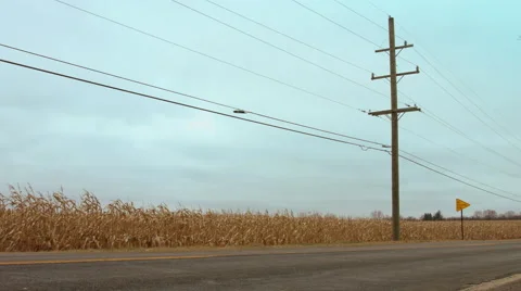 Low angle view of bus passing cornfield in Fall 4K Stock Footage 45299106