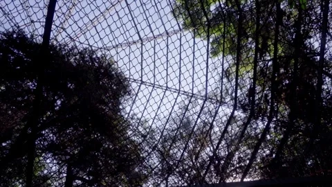 Low Angle View Of Butterfly House Mesh Enclosure In Tropical Garden Stock Footage 333833829