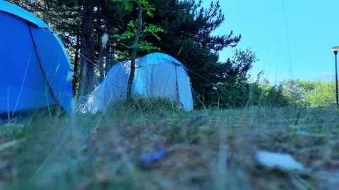 Low-angle view of a campsite with tents pitched on a sunny day Stock Footage 282607253
