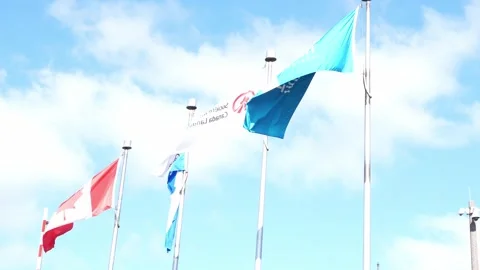 Low angle view of Canadian and local flags waving on silver poles against a Stock Footage 334330569