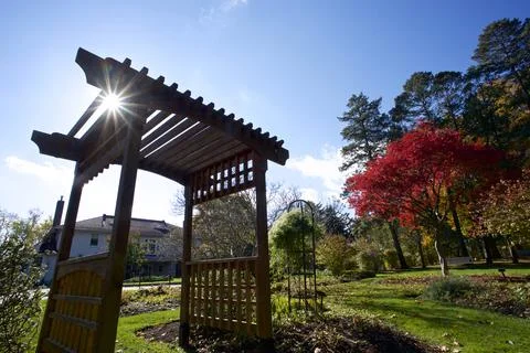 Low angle view of the canopy in the public park Stock Photos