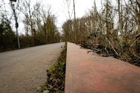 A low-angle view captures a rusty barrier running alongside a quiet, tree-lin Stock Photos